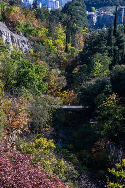Jesienny Ogród Botaniczny Old Tbilisi Stolicy Gruzji — Zdjęcie stockowe