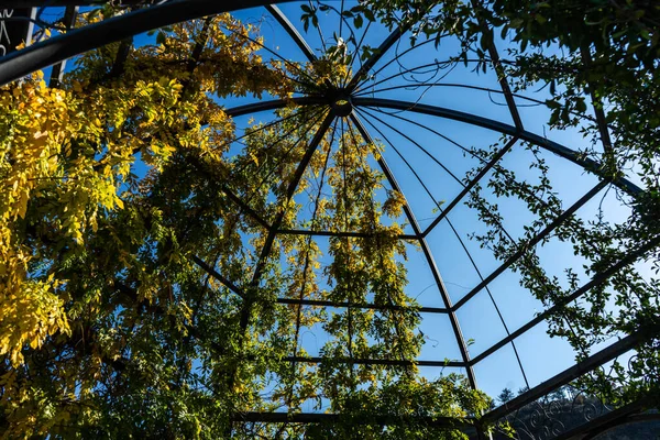 가을에 버드나무 잎으로 의집의 — 스톡 사진