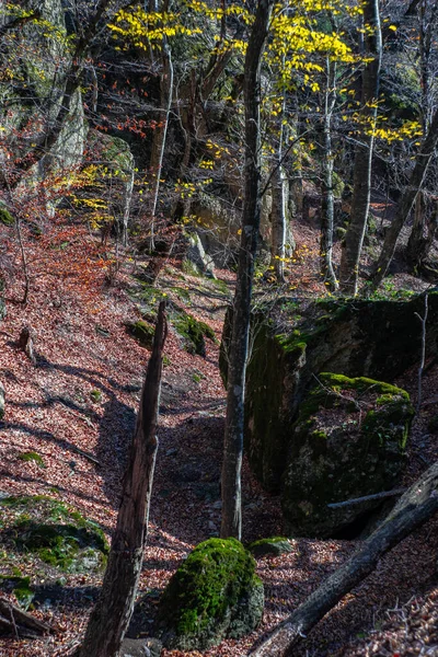 バートヴィシ渓谷の秋の風景は 最も有名なグルジアの自然ランドマークの一つです — ストック写真