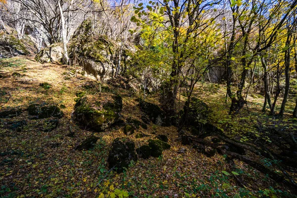 Paisaje Otoñal Del Cañón Birtvisi Uno Los Monumentos Naturales Georgianos —  Fotos de Stock