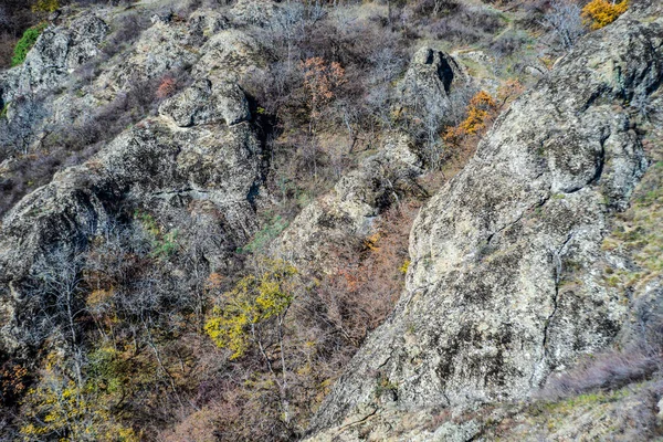 Осінній Пейзаж Каньйону Біртвізі Одним Найвідоміших Природних Пам Яток Георгія — стокове фото