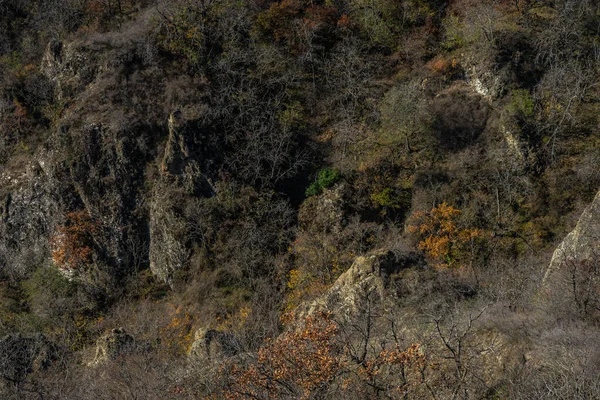 Осенний Пейзаж Каньона Биртвиси Одна Самых Известных Природных Достопримечательностей Джорджии — стоковое фото