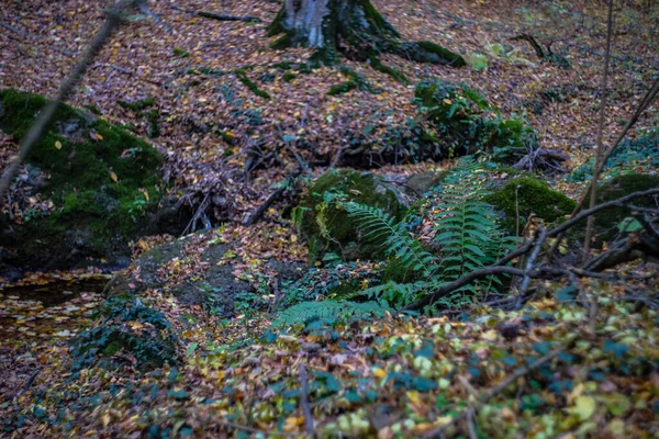 Birtvisi峡谷的自动地貌是最有名的地球自然景观之一 — 图库照片