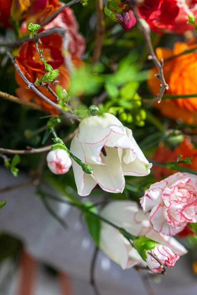 Schöne Frühlingshafte Florale Komposition Inneren — Stockfoto