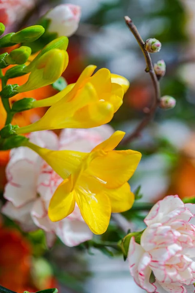 Крупним Планом Яскраво Жовті Квіти Фресок Вазі — стокове фото