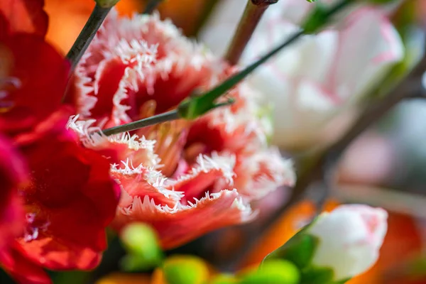 Schöne Frühlingshafte Florale Komposition Inneren — Stockfoto