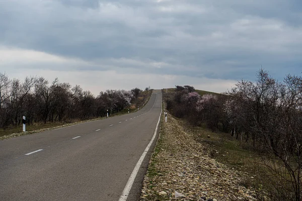 春の間 ジョージアのガレジャ砂漠の道路 — ストック写真