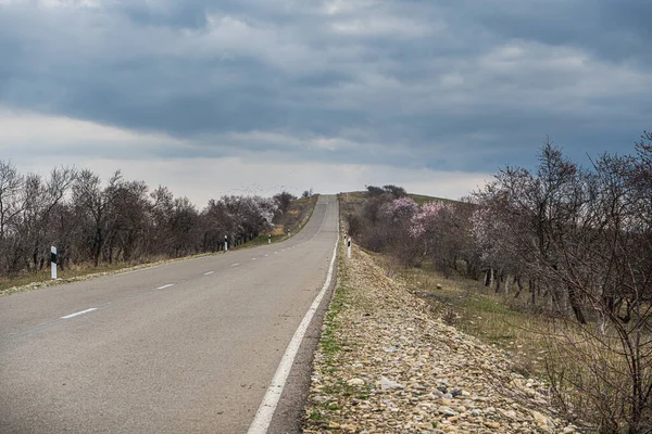 Estrada Deserto Garedja Geórgia Durante Primavera — Fotografia de Stock