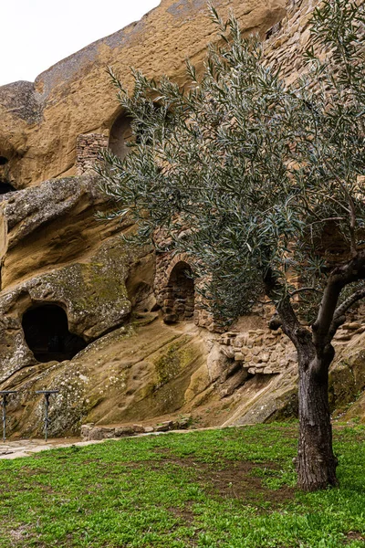 Ancient Rock Cave Monastery David Garedji Georgia Spring Time — Stock Photo, Image