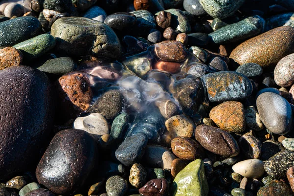 Море Гладкие Камни Транзитное Тело Медузы Берегу Черного Моря — стоковое фото