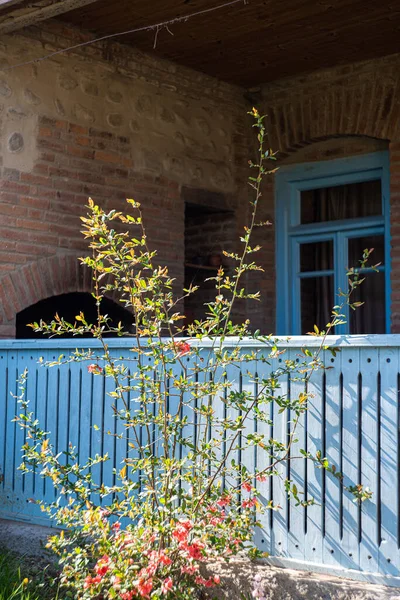 Decorazione Legno Blu Della Tradizionale Casa Colonica Georgiana — Foto Stock