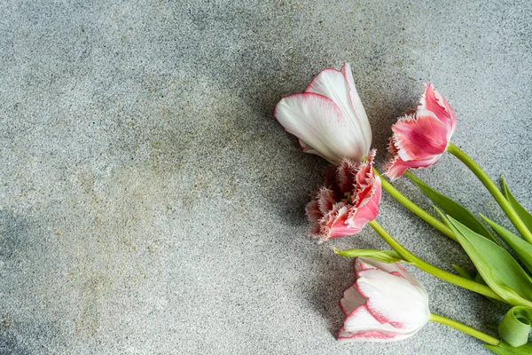 Красиві Тюльпани Бетонному Фоні — стокове фото