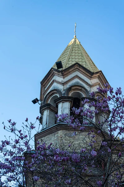 조지아의 도시에서 아름다운 바투미의 — 스톡 사진