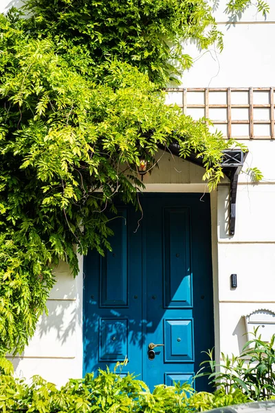 晴れた日にツタの植物で覆われた青いドア — ストック写真