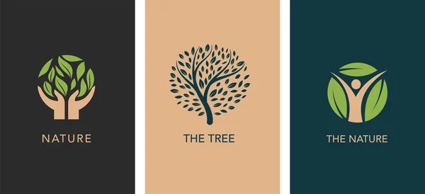 Ağaç Logosu Koleksiyonu Lüks Logo Şablonları Yapraklı Hayat Ağacı Yeşil — Stok Vektör