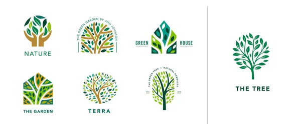 Ağaç Logosu Koleksiyonu Lüks Logo Şablonları Yapraklı Hayat Ağacı Yeşil — Stok Vektör