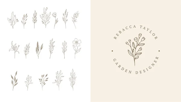 Elegante Botânico Delicados Elementos Desenhados Mão Estilo Moderno Minimalista Ilustrações — Vetor de Stock