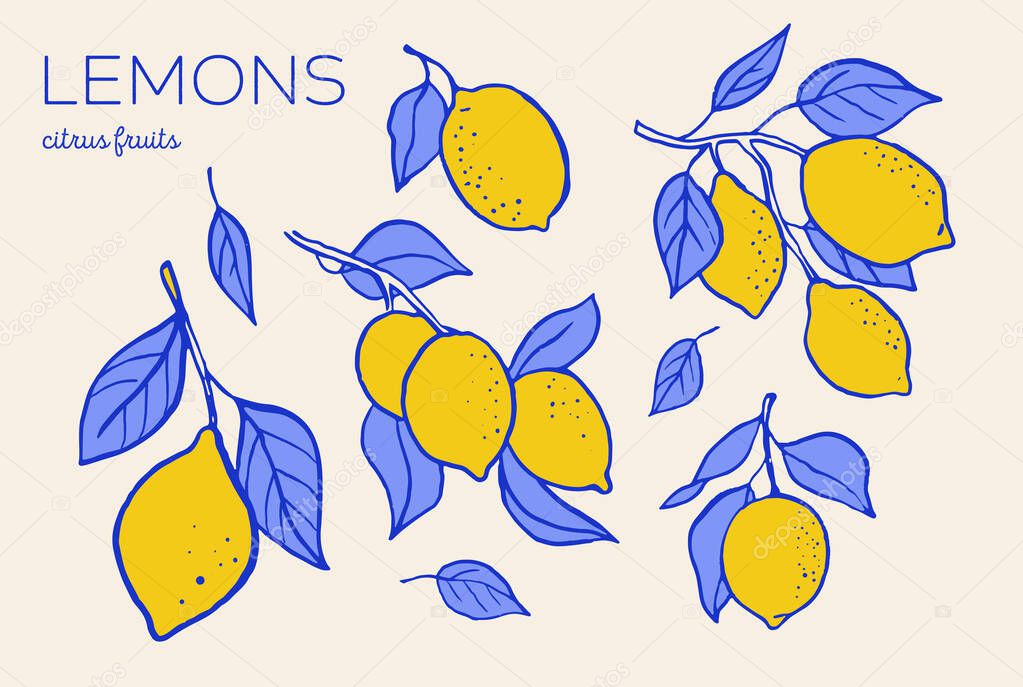 Hand drawn vintage collection of lemon illustrations. Retro citrus vector drawings and graphic elements in Italian La Dolce Vita style.