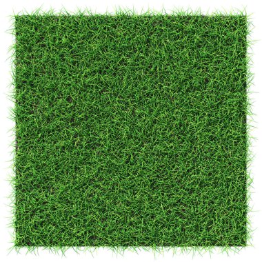 Grass shape - design element isolated - 3d rendering