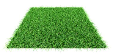 Grass shape - design element isolated - 3d rendering
