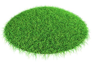 Grass shape - design element isolated - 3d rendering