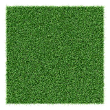 Grass shape - design element isolated - 3d rendering