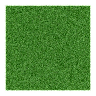 Grass shape - design element isolated - 3d rendering
