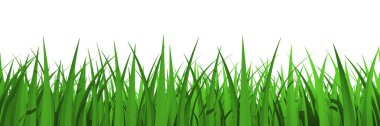 Grass profile view isolated - 3d rendering