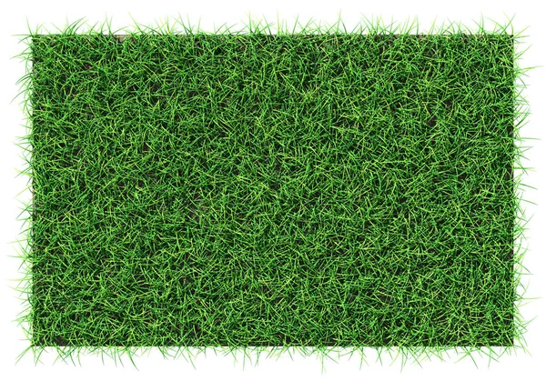 Grass Shape Design Element Isolated Rendering —  Fotos de Stock