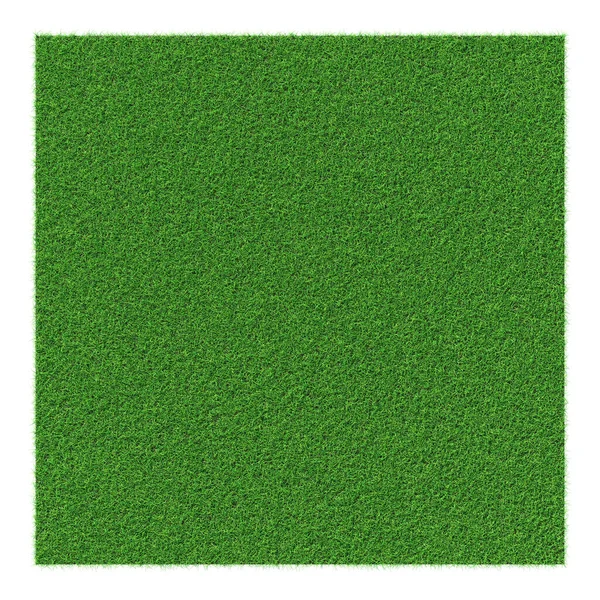 Grass shape - design element isolated - 3d rendering