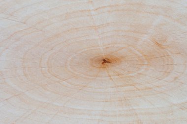 Görünür buğday ve düğümlerle açık doğal ahşap dokusu. Ahşap yüzey arka planı. Fotokopi alanı olan düz kompozisyon. Tasarım ve yazdırma şablonu.