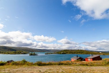 Oslo - Bergen, Norveç demiryolu manzarası