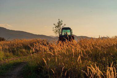 Yeşil traktör gökyüzü bulutlu tahıl tarlasını sürüyor. Yüksek kalite fotoğraf