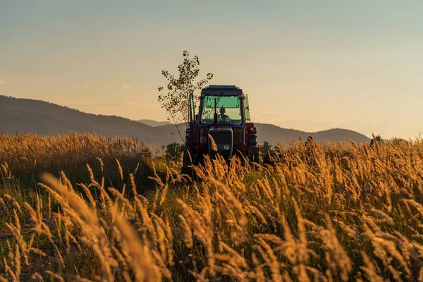 Grüner Traktor Pflügt Getreidefeld Mit Himmel Mit Wolken Hochwertiges Foto Stockbild