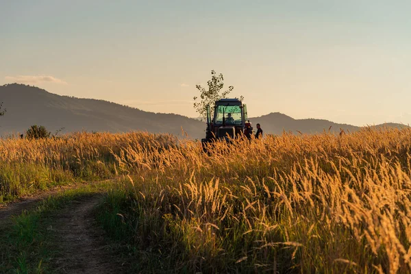 緑のトラクターは雲が付いている空と穀物畑を耕します 高品質の写真 ストックフォト