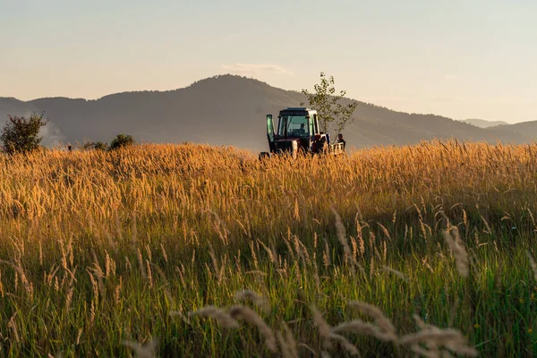緑のトラクターは雲が付いている空と穀物畑を耕します 高品質の写真 ストック画像
