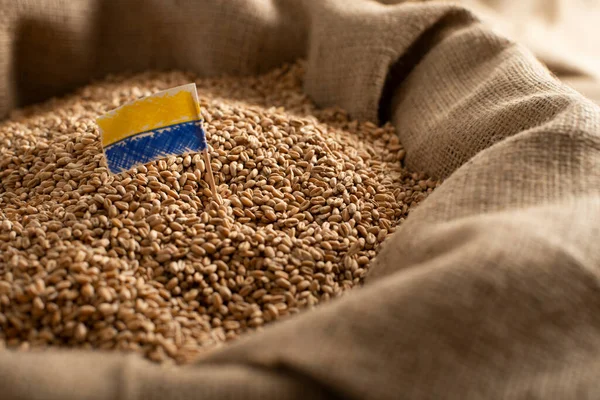 Burlap Sack Wheat Grains Ukrainian Flag Concept — Stock Photo, Image