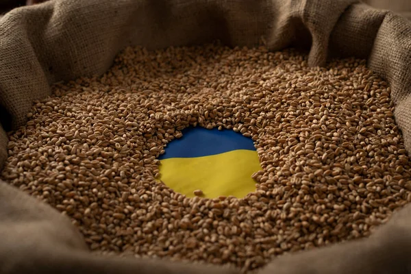 Burlap Sack Wheat Grains Ukrainian Flag Concept 图库图片