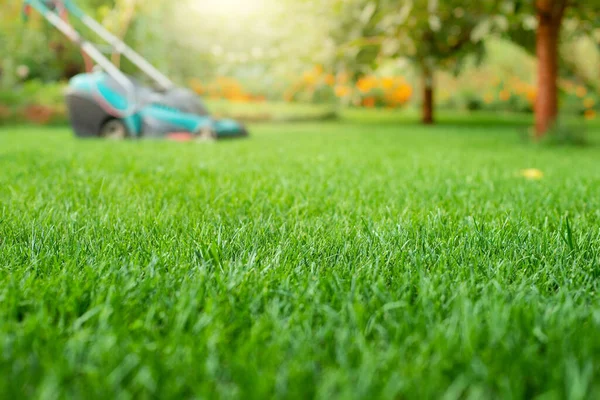 草坪割草机在草坪特写视图 草坪护理概念 免版税图库图片