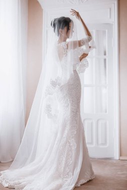 Güzel genç gelinin portresi. Hassas bir kadın portresi. Düğün makyajı. Doğal güzellik..