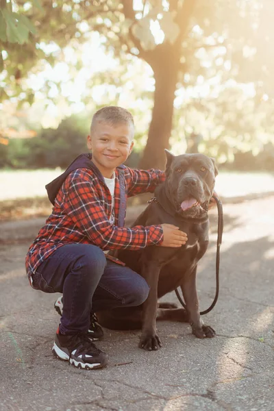 Ευτυχισμένο Αγόρι Αγκαλιάζει Ένα Μεγάλο Σκυλί Αγάπη Και Στοργή Για — Φωτογραφία Αρχείου