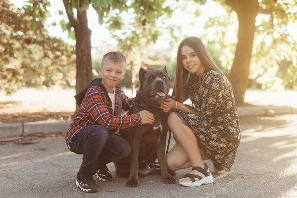 Счастливая Девочка Мальчик Обнимают Большую Собаку Любовь Привязанность Домашним Животным — стоковое фото