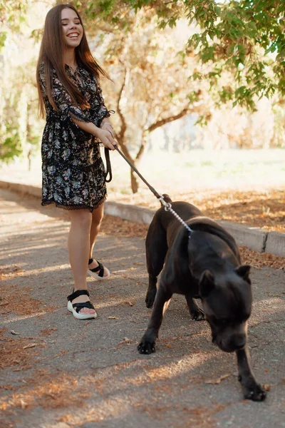 Красива Щаслива Молода Жінка Сидить Траві Обіймає Собаку Любов Прихильність — стокове фото