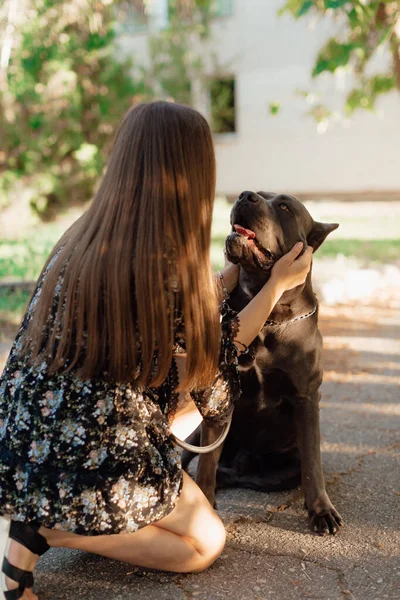 Прекрасная Счастливая Молодая Женщина Сидящая Траве Обнимающая Собаку Любовь Привязанность — стоковое фото