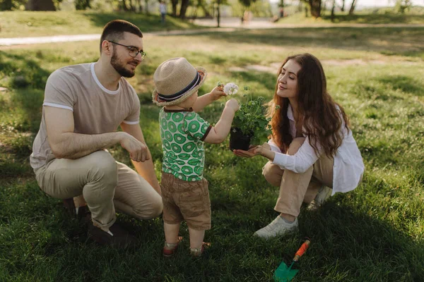 对于一个年轻的家庭 妈妈和小儿子来说 夏日的晴天变得快乐而快乐 快乐的家庭概念照片 无焦点模糊及噪音效应 — 图库照片