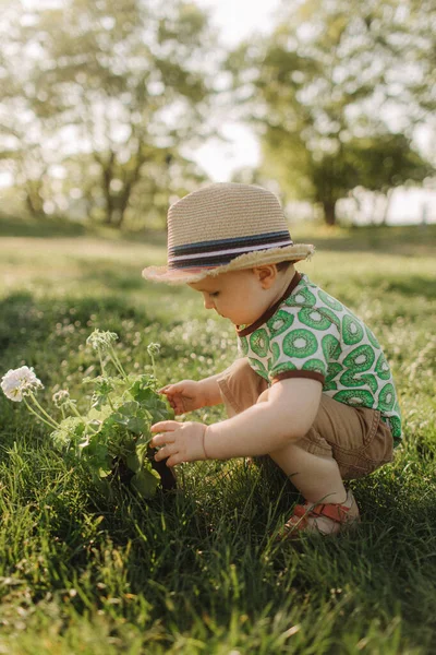 소년에게는 여름의 즐겁고 되었다 아름다운 풍경을 배경으로 옥외에서 아동기 부드러운 — 스톡 사진