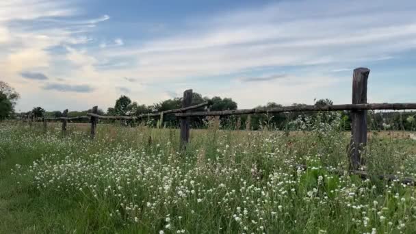 Paisaje Panorámico Con Hermosas Colinas Verdes Paisaje Abstracto Naturaleza Ucrania — Vídeos de Stock