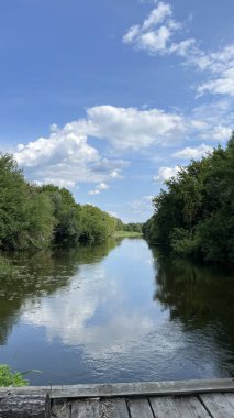Göl ve ormanla panoramik manzara. Soyut manzara. Ukrayna 'nın Doğası.