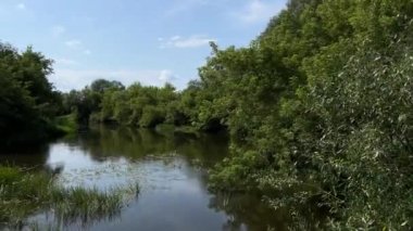 Göl ve ormanla panoramik manzara. Soyut manzara. Ukrayna 'nın Doğası.