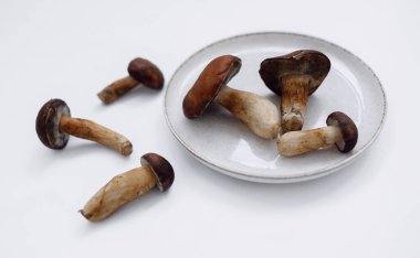 Hafif arka planda yuvarlak bir tabakta Polonya mantarı. Uzayı kopyala Üst Manzara. Organik orman yiyeceği, yenilebilir taze Porcini mantarı. Sonbahar hasat konsepti. Mantar toplama.